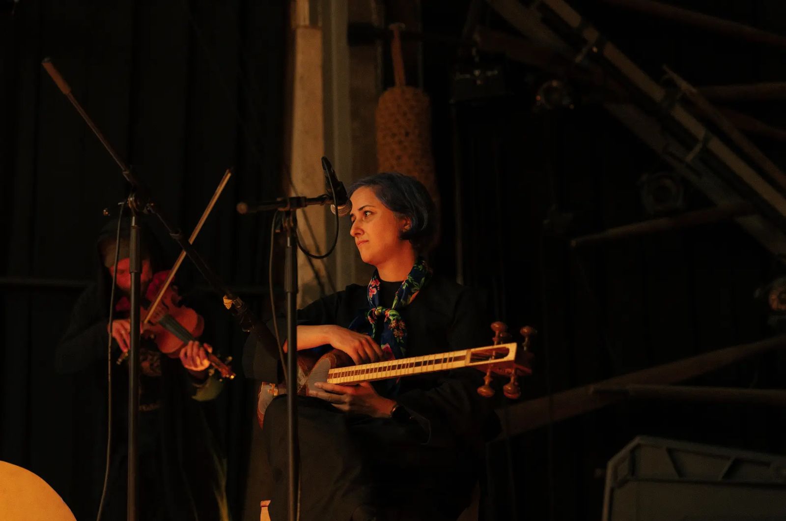 Soroor Notash performing on the tar